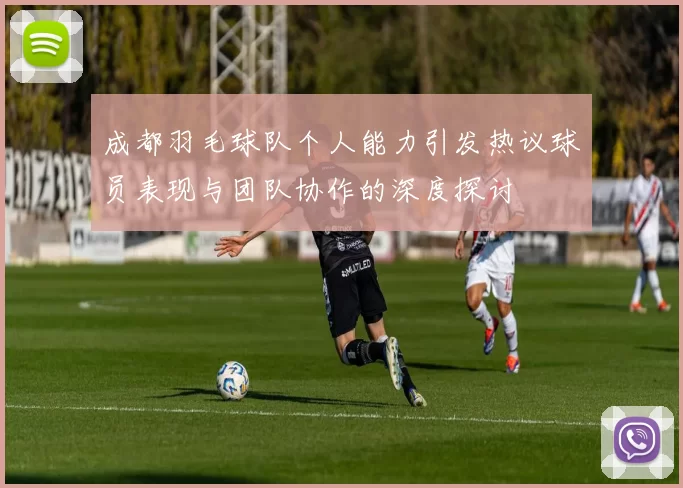 成都羽毛球队个人能力引发热议球员表现与团队协作的深度探讨