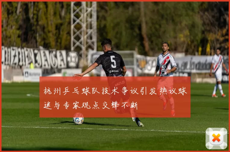 杭州乒乓球队技术争议引发热议球迷与专家观点交锋不断