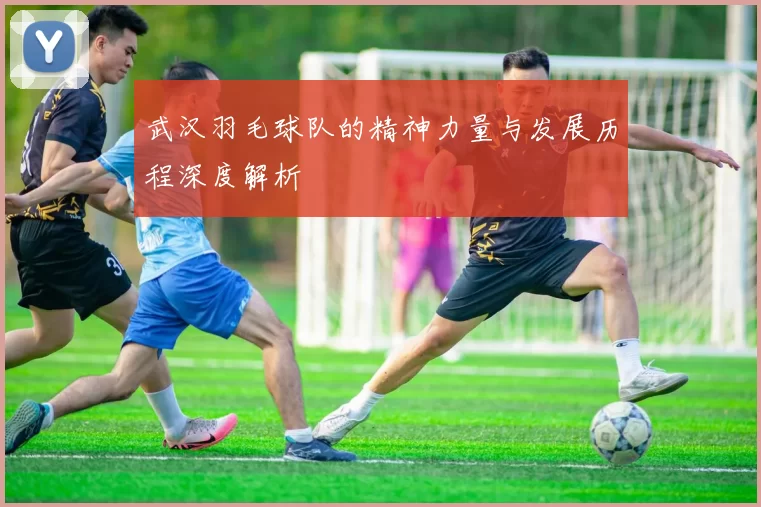 武汉羽毛球队的精神力量与发展历程深度解析