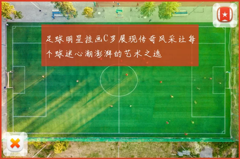 足球明星挂画C罗展现传奇风采让每个球迷心潮澎湃的艺术之选