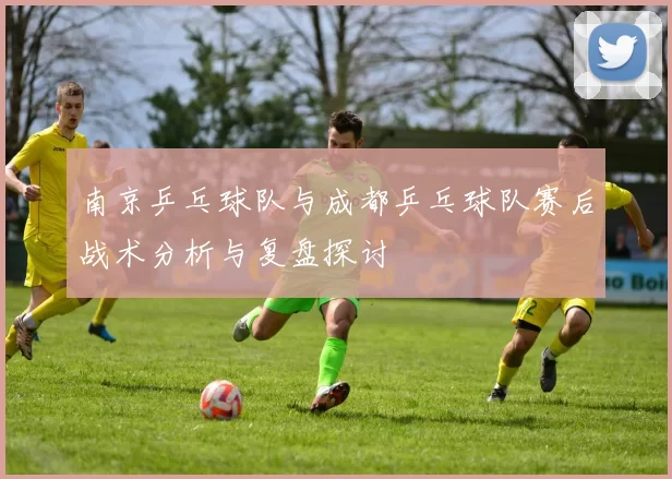 南京乒乓球队与成都乒乓球队赛后战术分析与复盘探讨