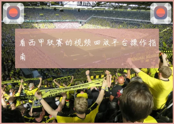 看西甲联赛的视频回放平台操作指南