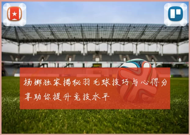 杨娜独家揭秘羽毛球技巧与心得分享助你提升竞技水平