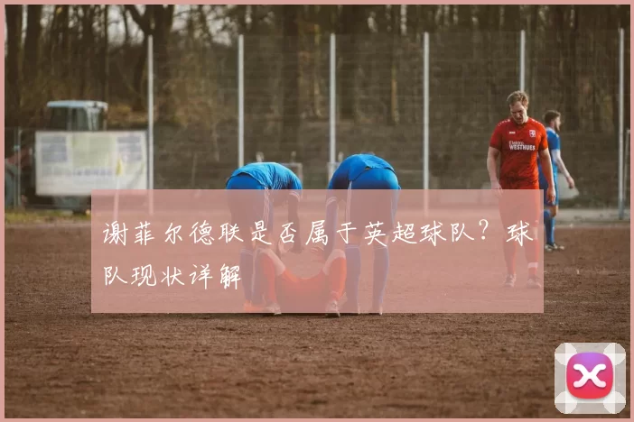谢菲尔德联是否属于英超球队？球队现状详解