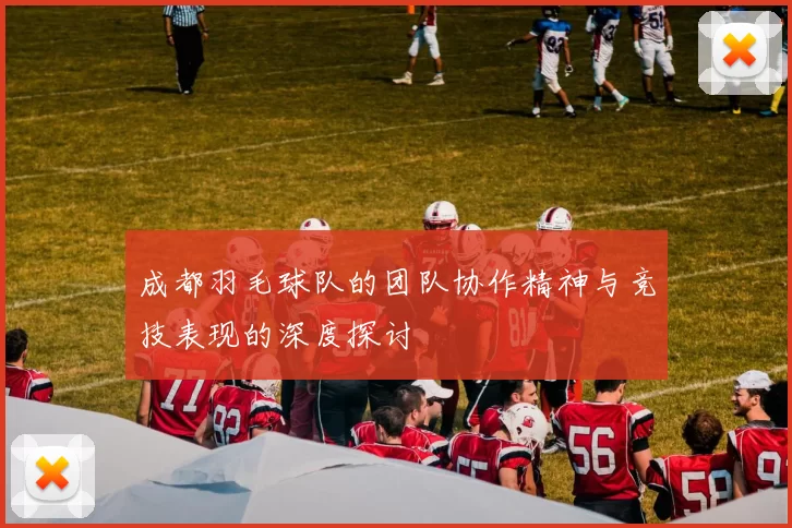 成都羽毛球队的团队协作精神与竞技表现的深度探讨