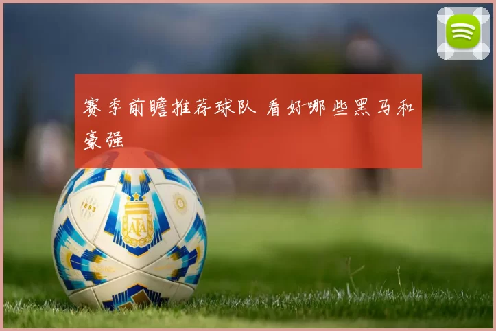 赛季前瞻推荐球队 看好哪些黑马和豪强