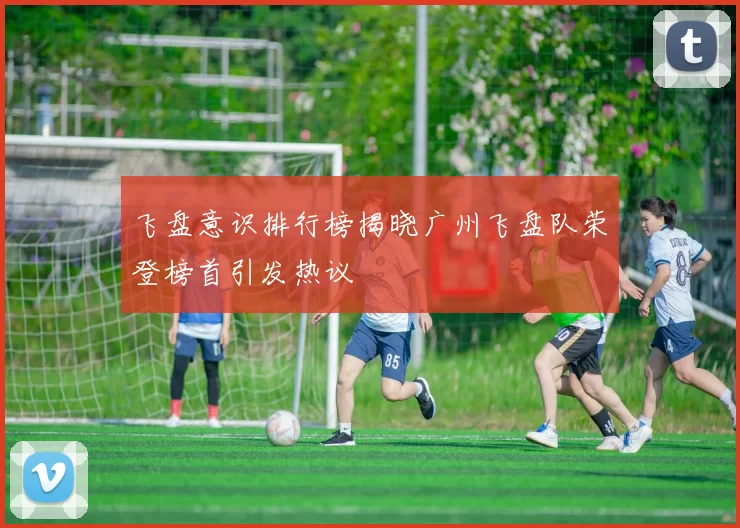 飞盘意识排行榜揭晓广州飞盘队荣登榜首引发热议