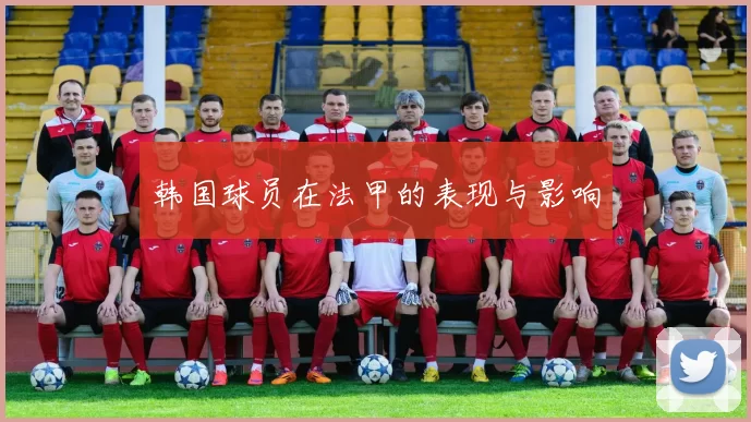 韩国球员在法甲的表现与影响