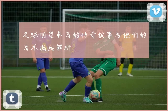 足球明星养马的传奇故事与他们的马术成就解析