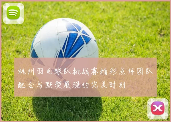 杭州羽毛球队挑战赛精彩点评团队配合与默契展现的完美时刻