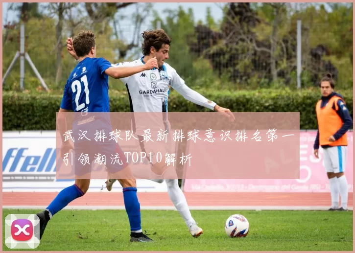 武汉排球队最新排球意识排名第一引领潮流TOP10解析