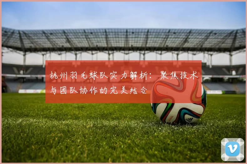 杭州羽毛球队实力解析：聚焦技术与团队协作的完美结合