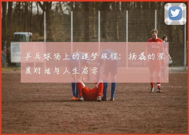 乒乓球场上的追梦旅程：杨磊的深度对话与人生启示